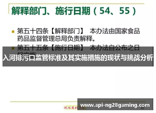 入河排污口监管标准及其实施措施的现状与挑战分析