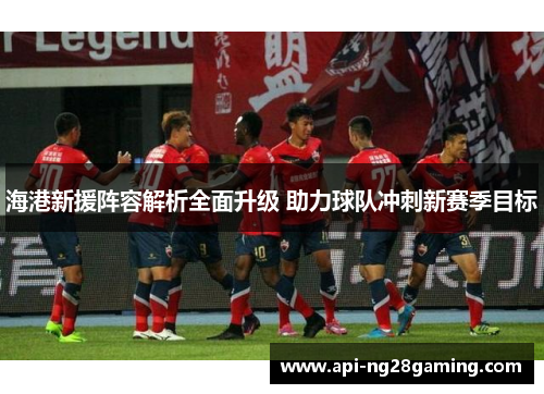 海港新援阵容解析全面升级 助力球队冲刺新赛季目标