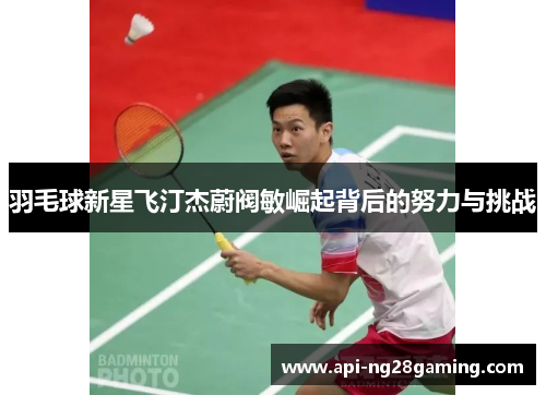 羽毛球新星飞汀杰蔚阀敏崛起背后的努力与挑战